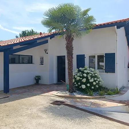 Spacieux Et Lumineux Dans Contemporaine Avec Piscine Chauffee Privative Pres Golf D'arcangues ヴィラ