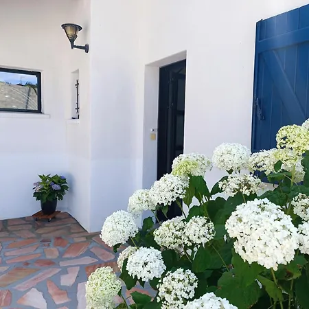 Spacieux Et Lumineux Dans Contemporaine Avec Piscine Chauffee Privative Pres Golf D'arcangues Villa